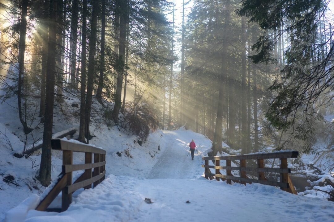 person in red jacket walking on snow covered ground